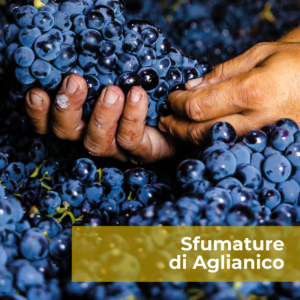 Sfumature di Aglianico