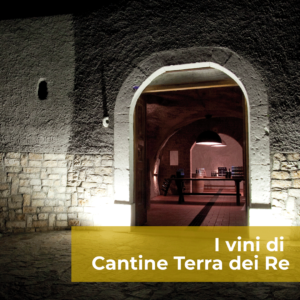 I vini di Terra dei Re